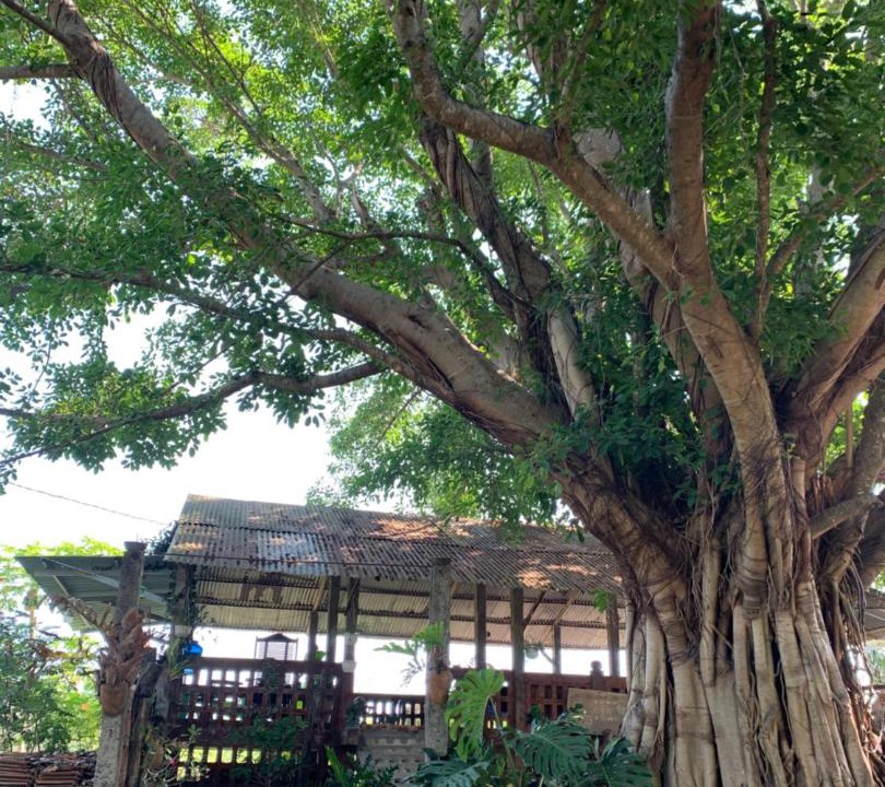 Photo of Others in Trang Bom