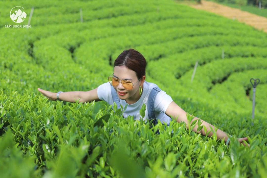 Photo of Others in Dai Tu