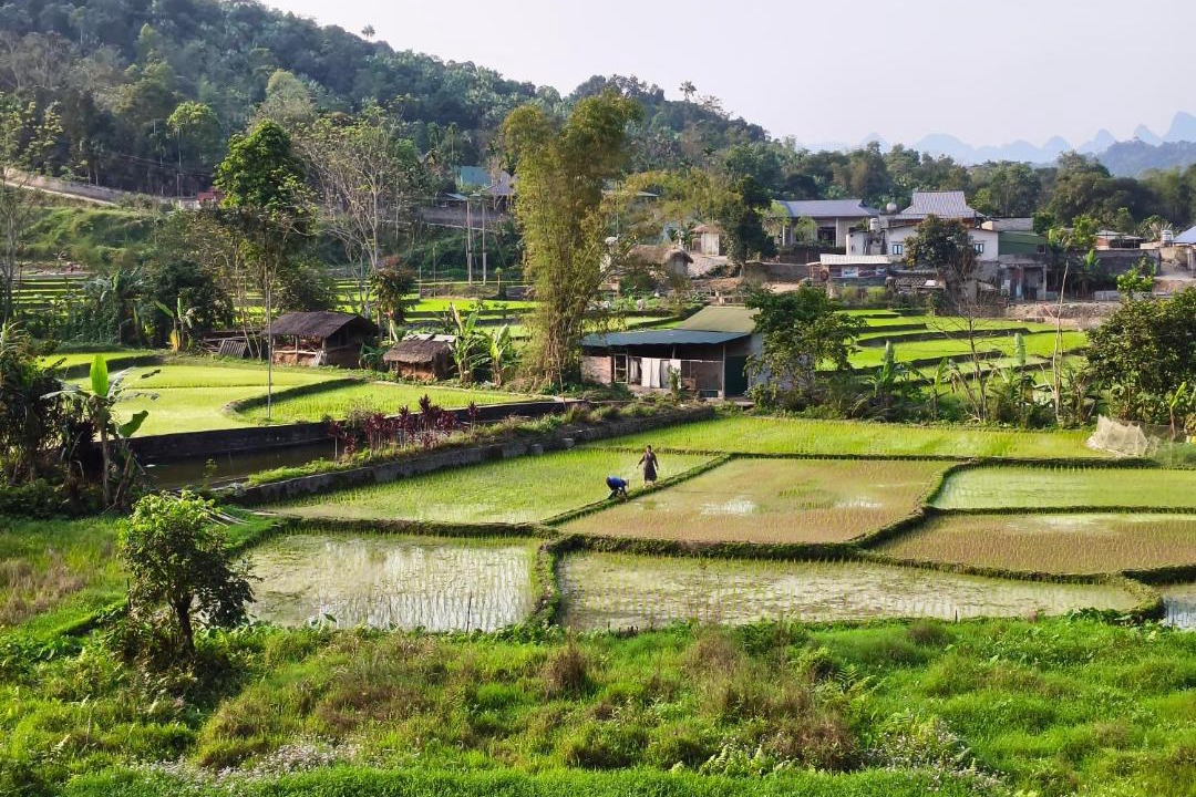 Photo of Others in Ha Giang
