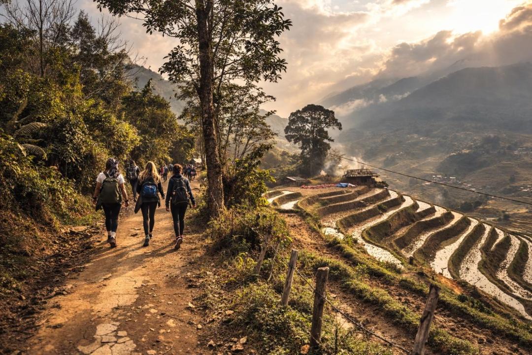 Photo of Others in Hau Thao