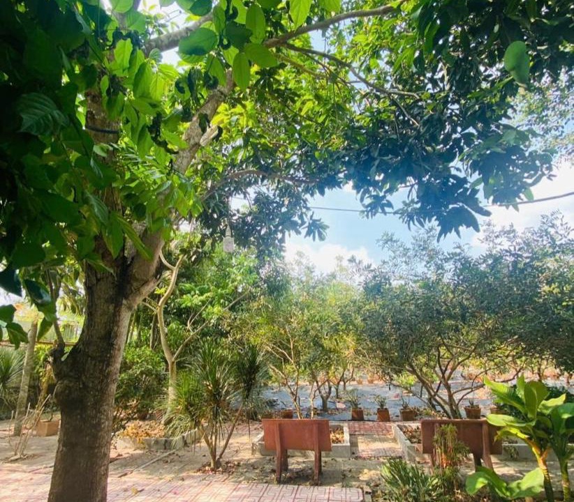Photo of Others in Vinh Long