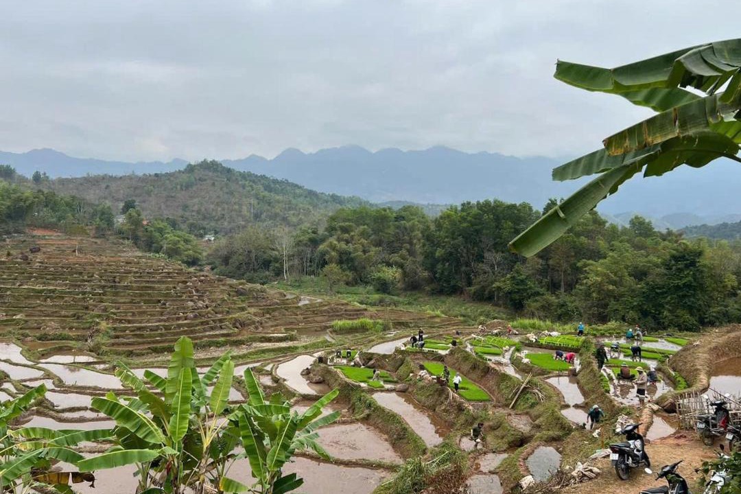Photo of Others in Mai Chau