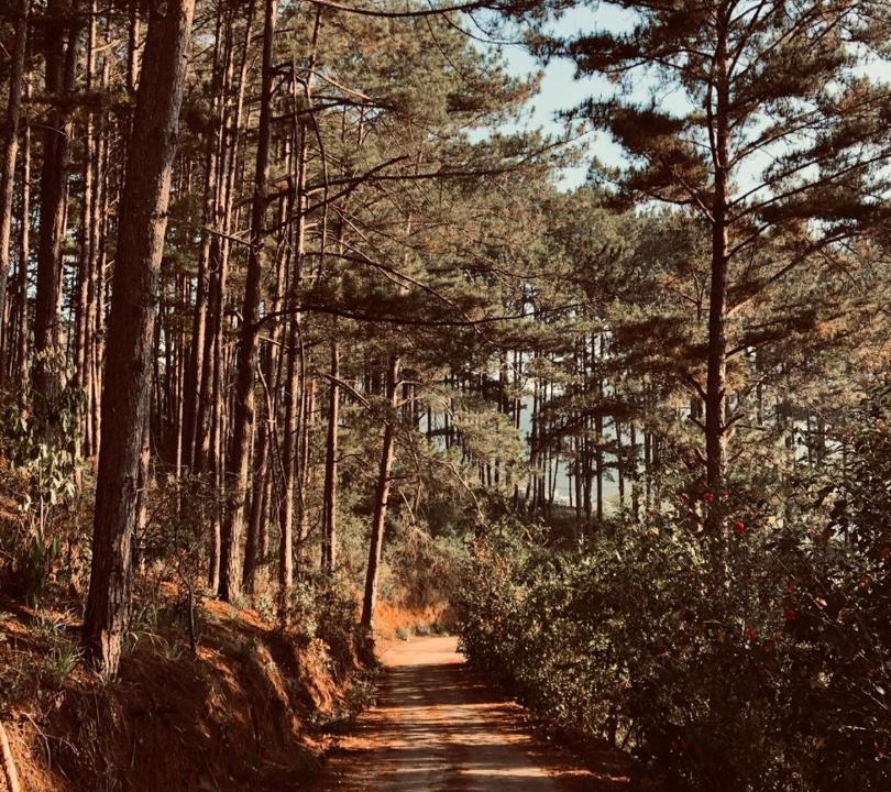 Photo of Others in Da Lat
