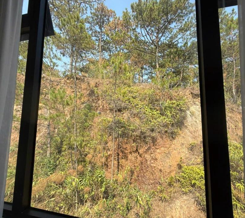 Photo of Others in Da Lat
