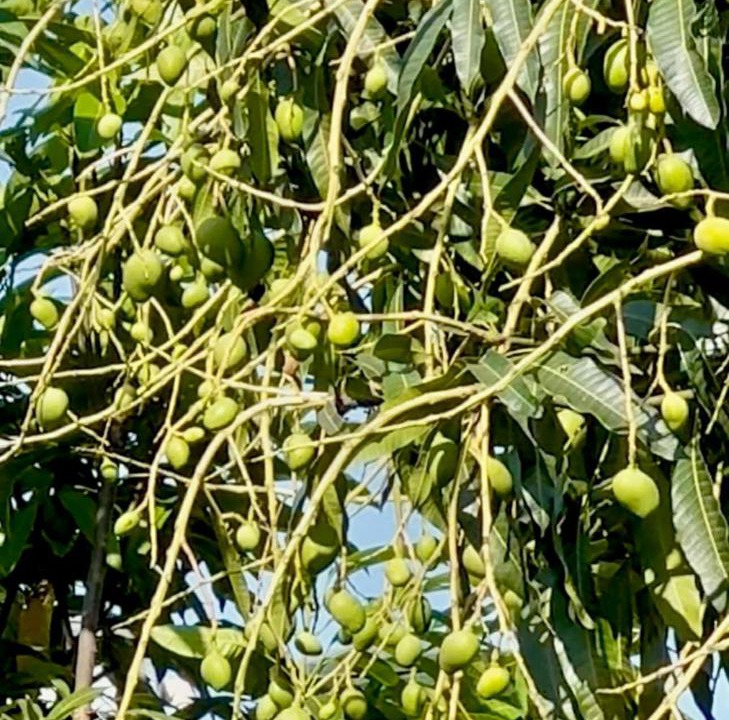 Photo of Others in Buon Ma Thuot