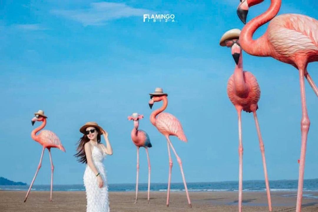 Photo of Human In Picture in Hoang Hoa
