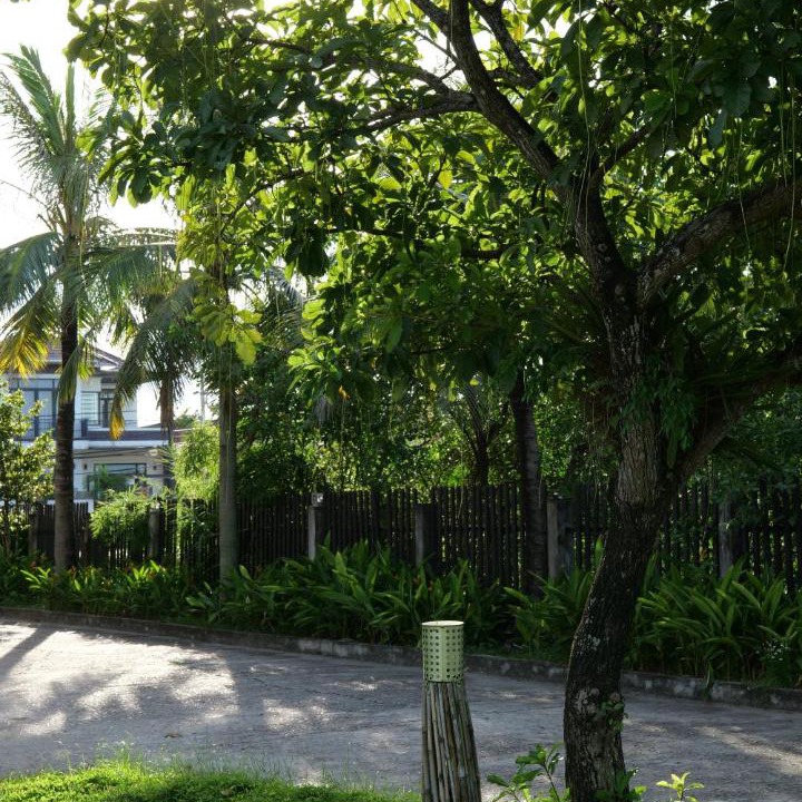 Photo of Others in Quang Ninh