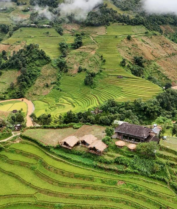 Photo of Others in Mu Cang Chai