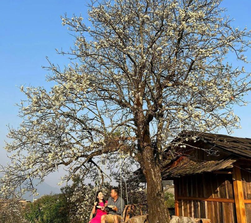 Photo of Others in Muong La