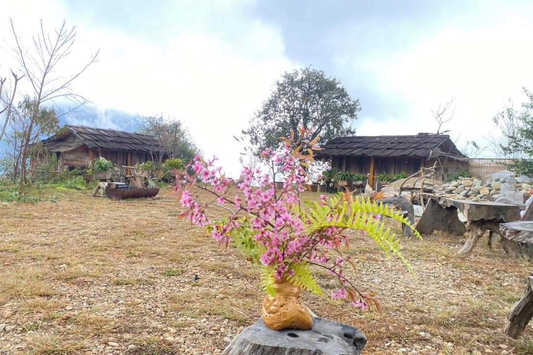 Photo of Others in Muong La