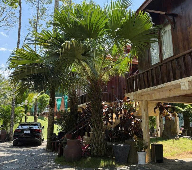 Photo of Others in Quan Tom