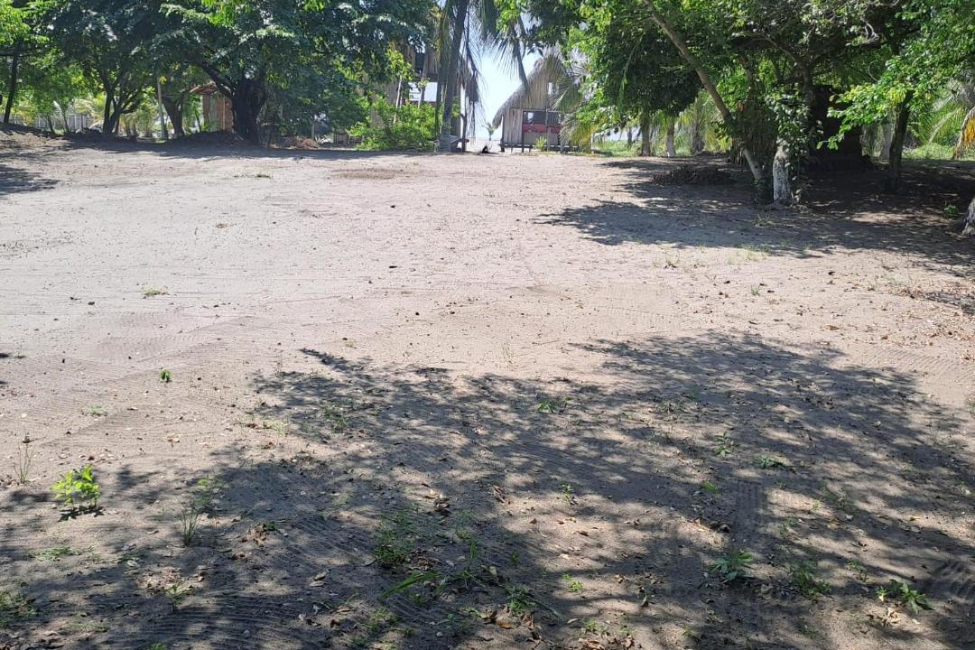 Photo of Others in Tonala