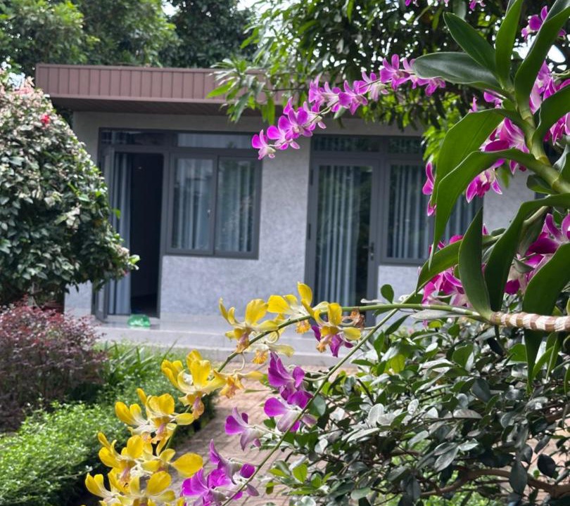 Photo of Others in Buon Ma Thuot