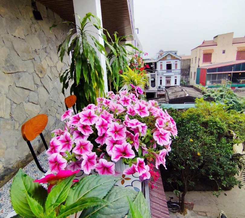 Photo of Others in Hoa Lu