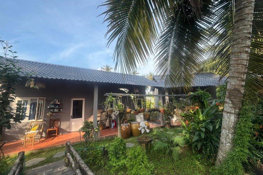 Photo of Others in Mo Cay Bac
