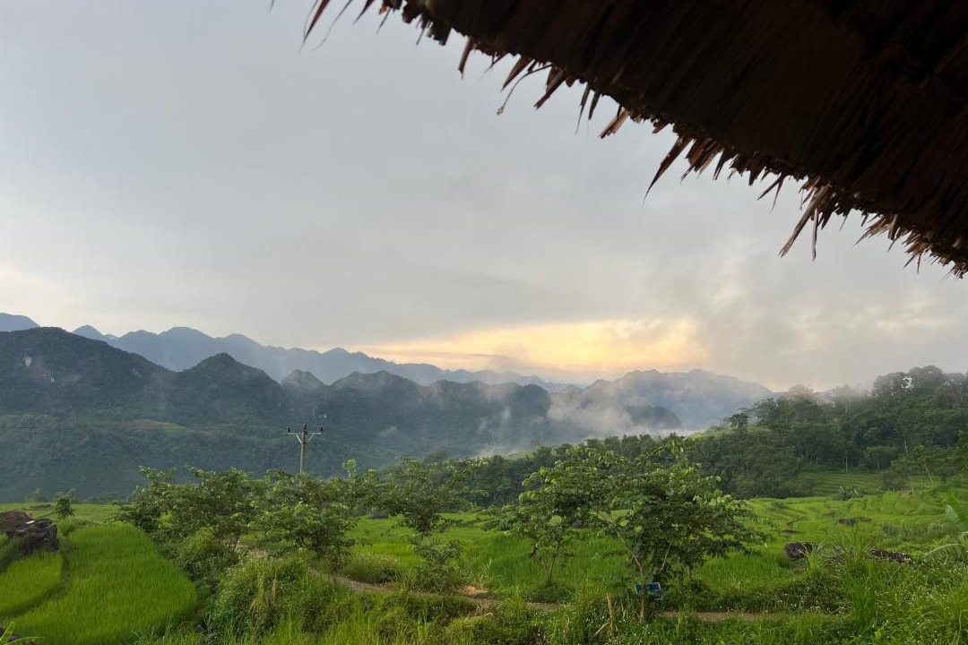 Photo of Others in Pu Long Nature Reserve