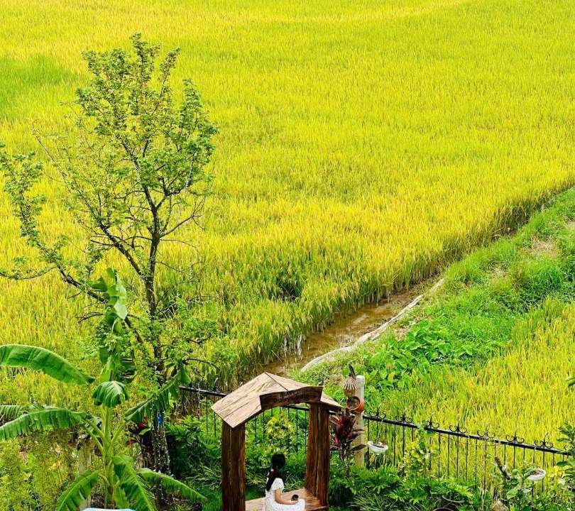 Photo of Others in Hoa Lu