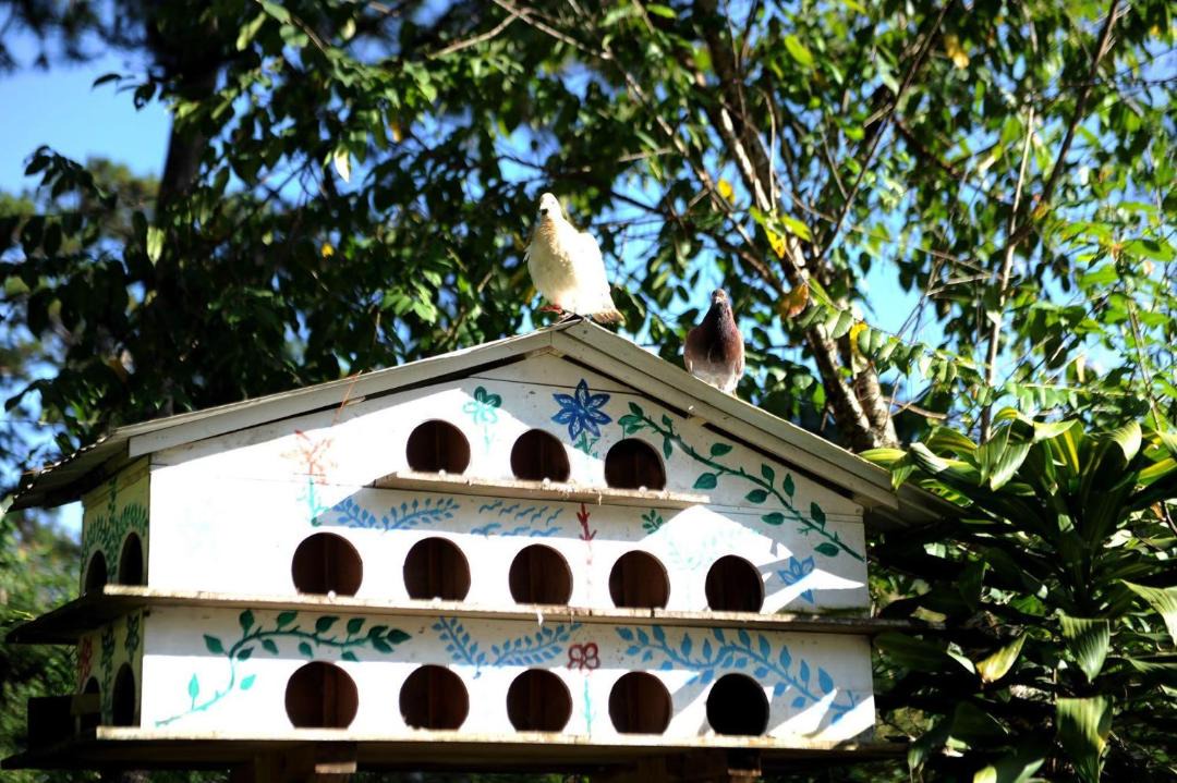 Photo of Others in Buon Ma Thuot