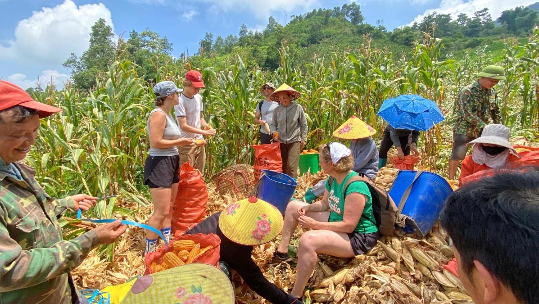 Photo of Others in Nam Cang