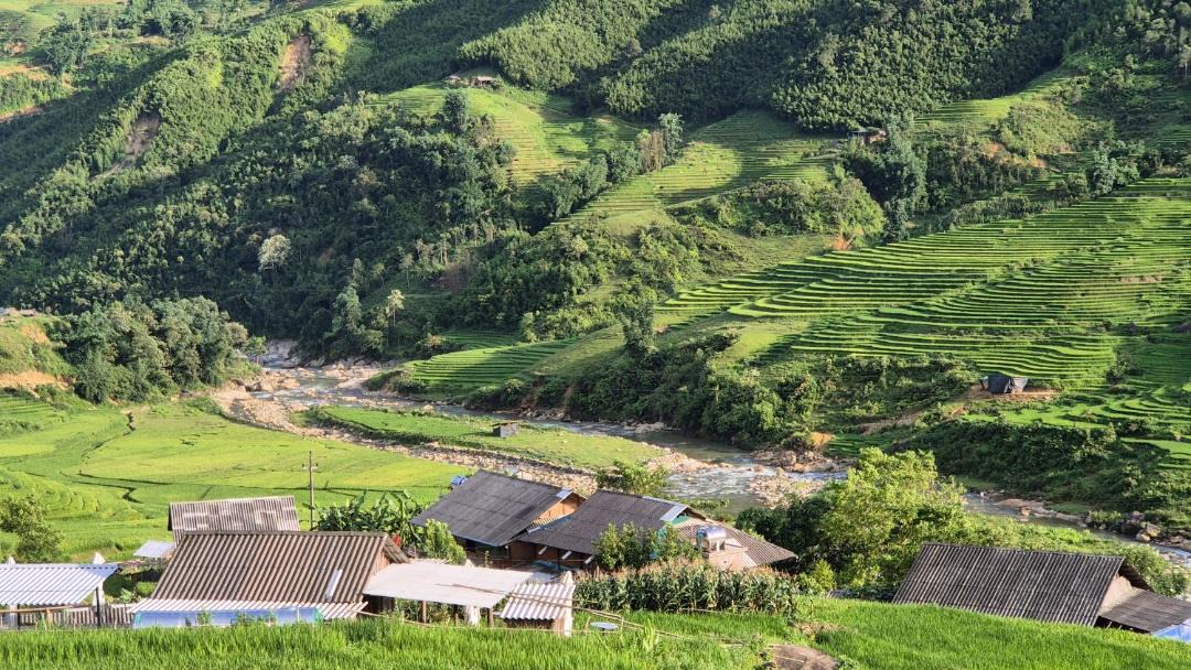 Photo of Others in Hau Thao