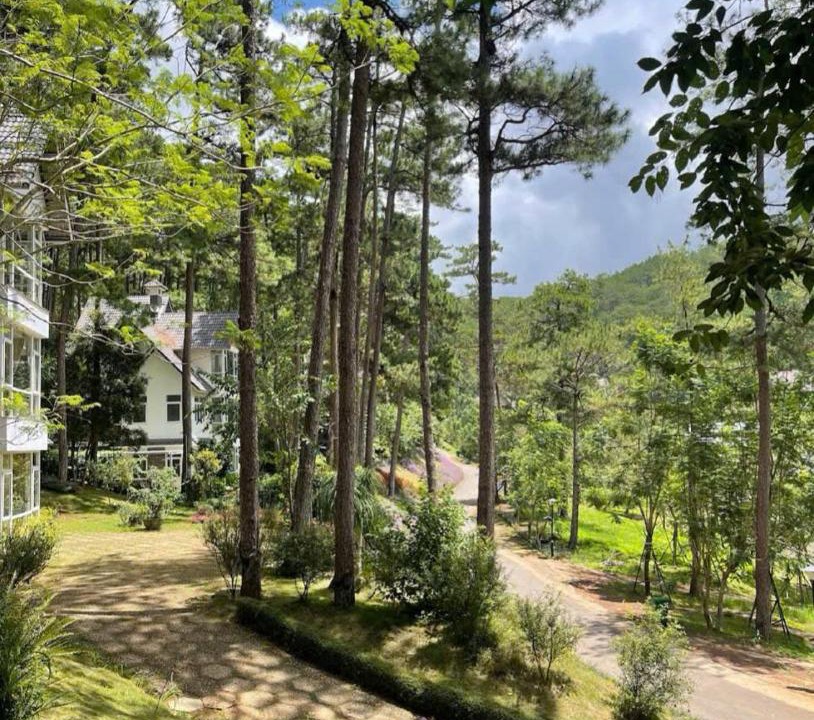 Photo of Others in Da Lat