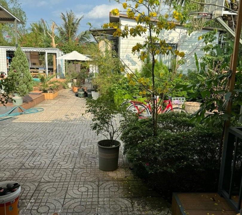 Photo of Others in Binh Hoa Phuoc