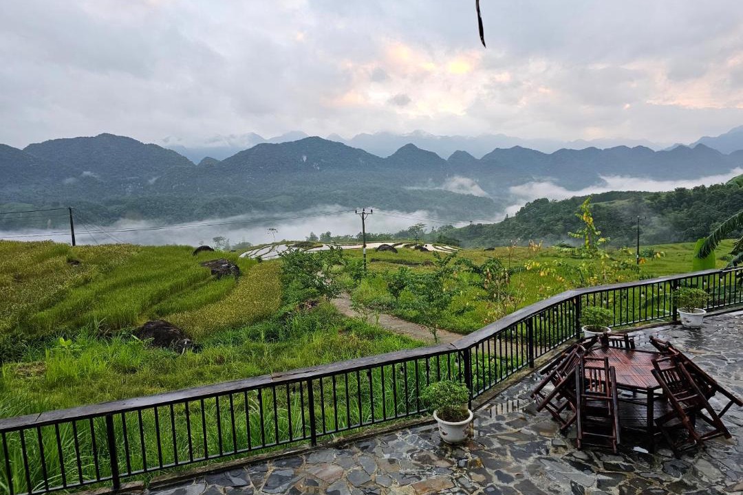Photo of Others in Pu Long Nature Reserve