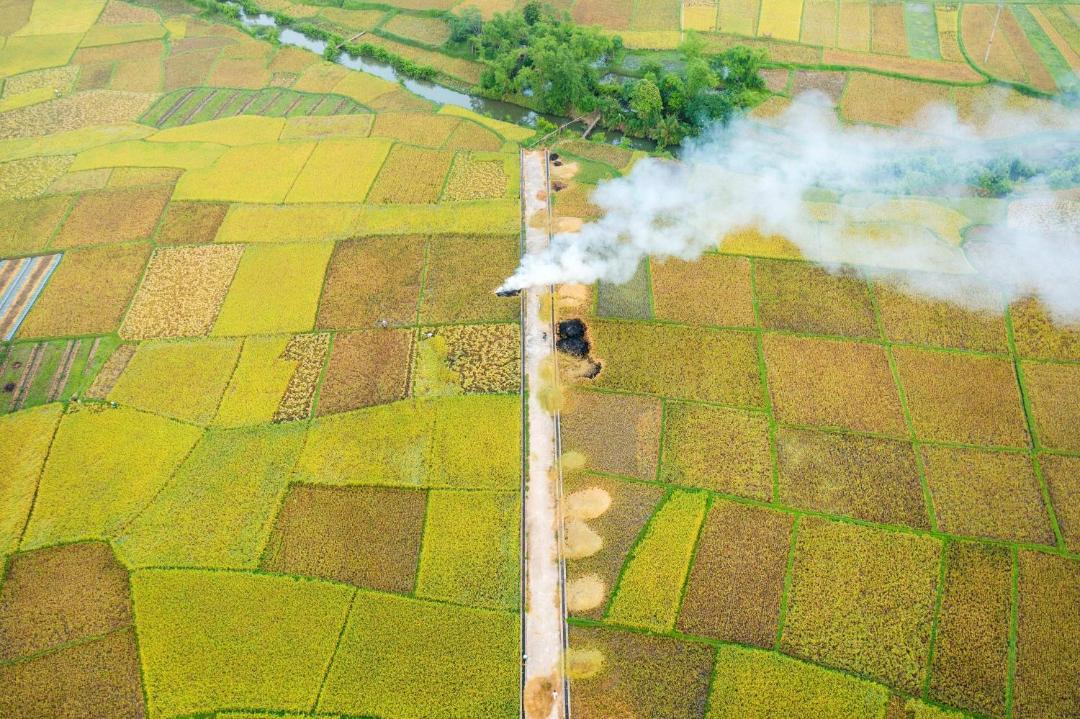 Photo of Others in Chieng Chau