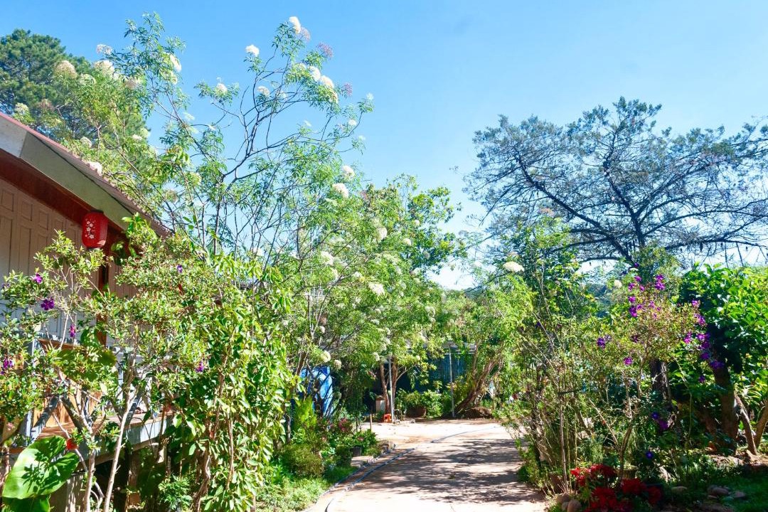 Photo of Others in Da Lat