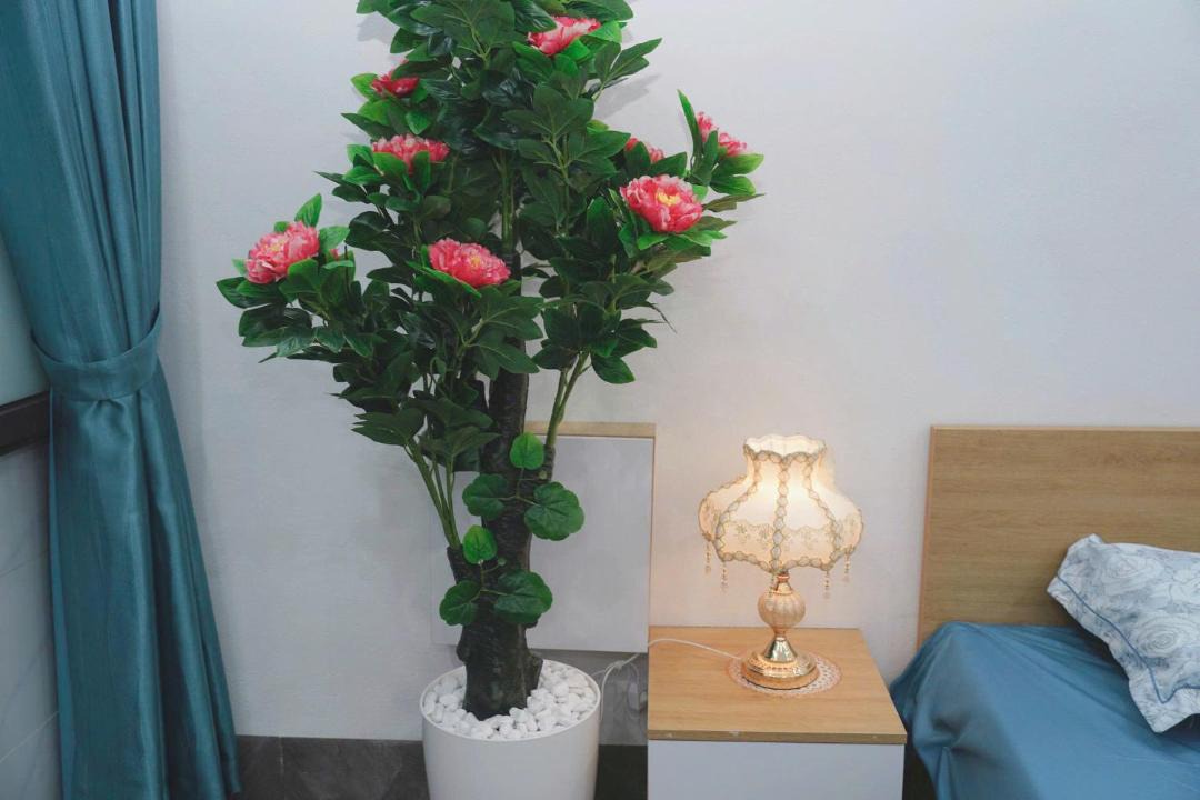 Photo of Others in Trung Hoa Nhan Chinh