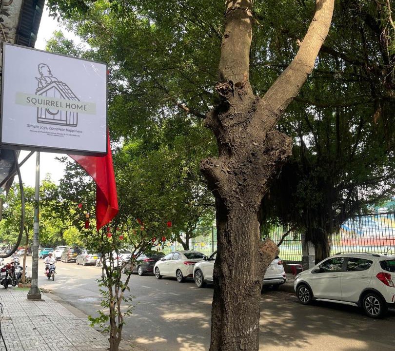 Photo of Others in Chanh Hung