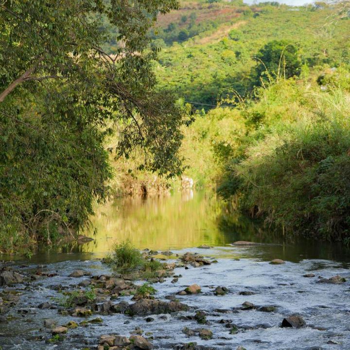 Photo of Others in Da Lat