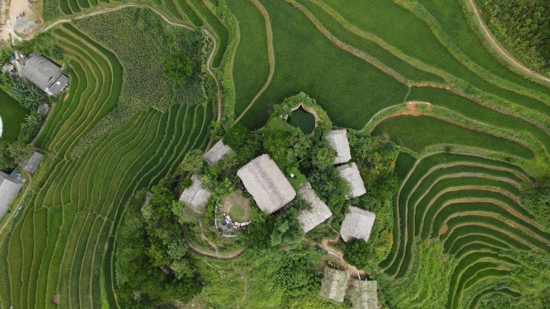 Photo of Others in Mu Cang Chai