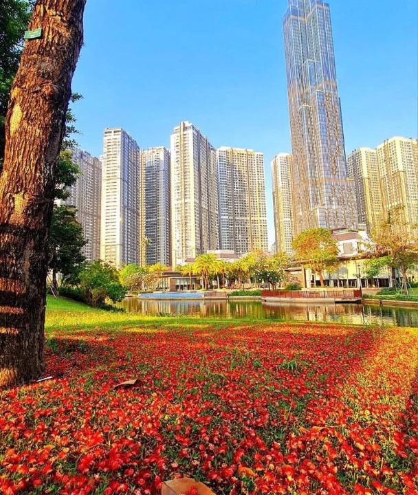 Photo of Others in Hang Xanh