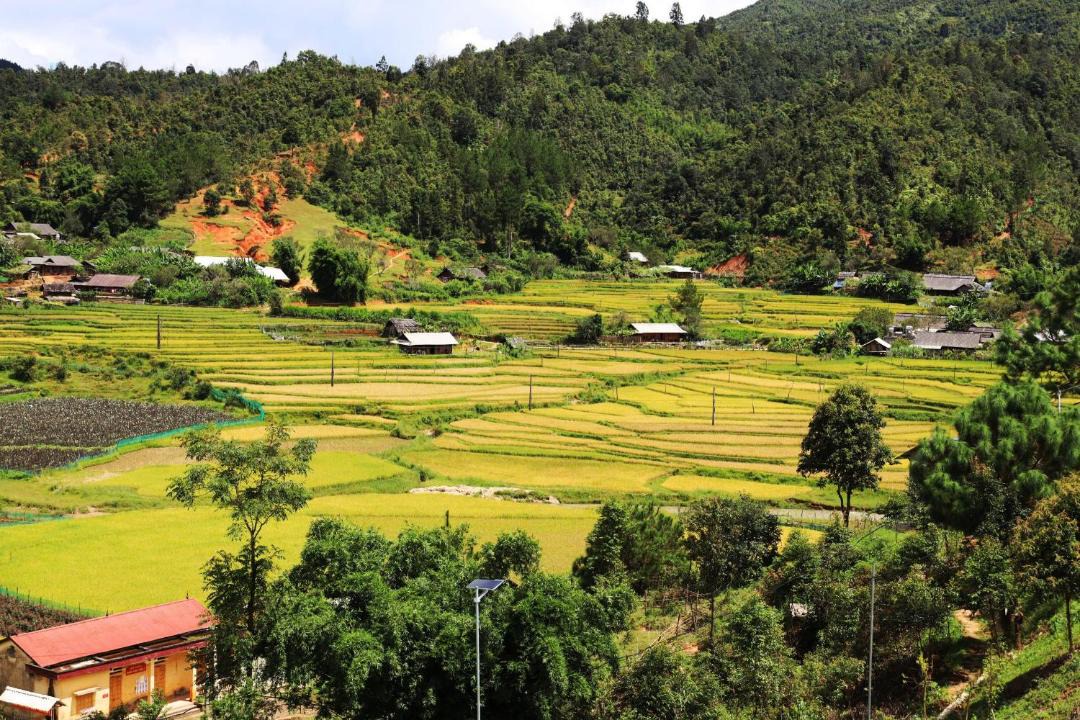 Photo of Others in Mu Cang Chai