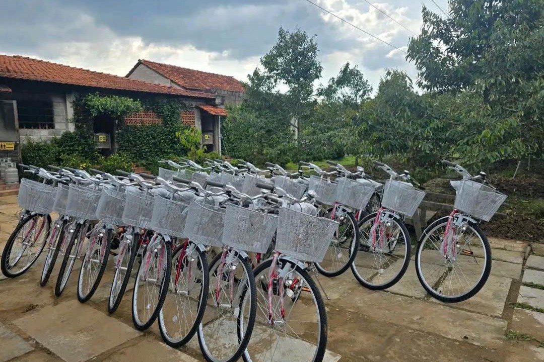 Photo of Others in Long Ho