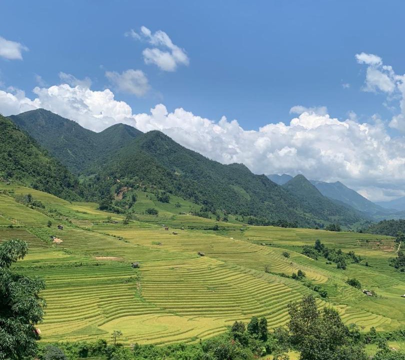 Photo of Others in Hau Thao