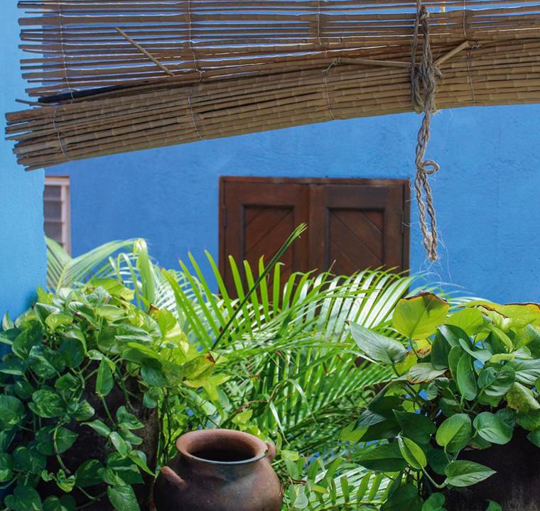 Photo of Others in San Agustinillo