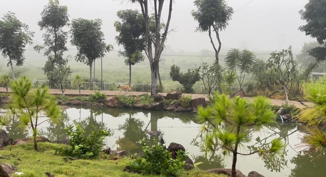 Photo of Others in Chau Duc