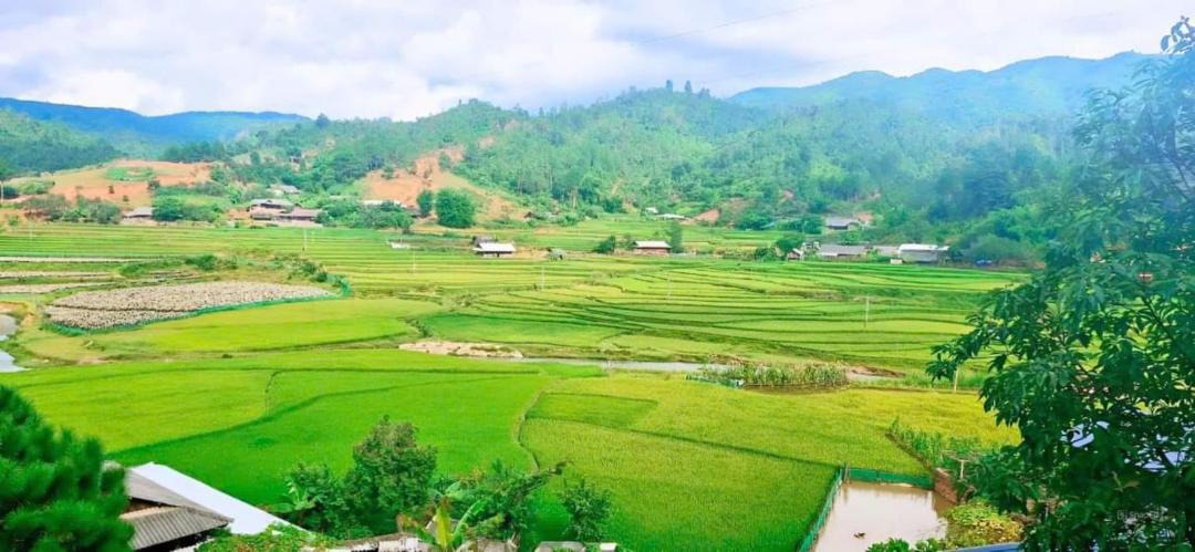 Photo of Others in Mu Cang Chai