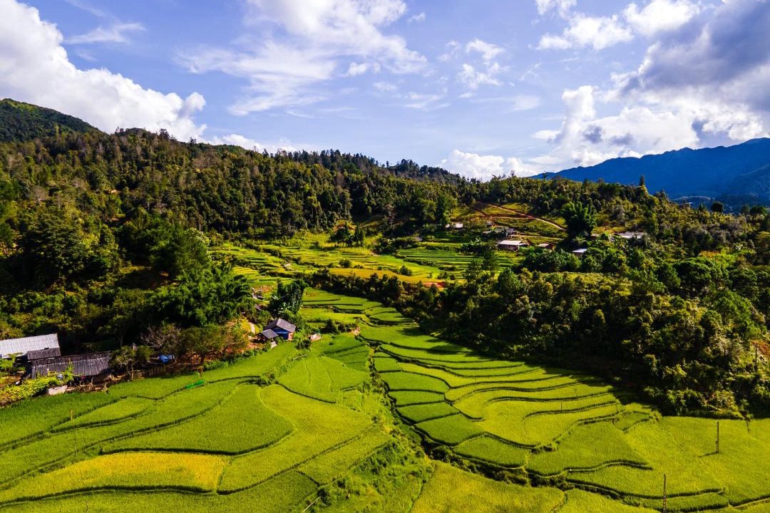 Photo of Others in Mu Cang Chai