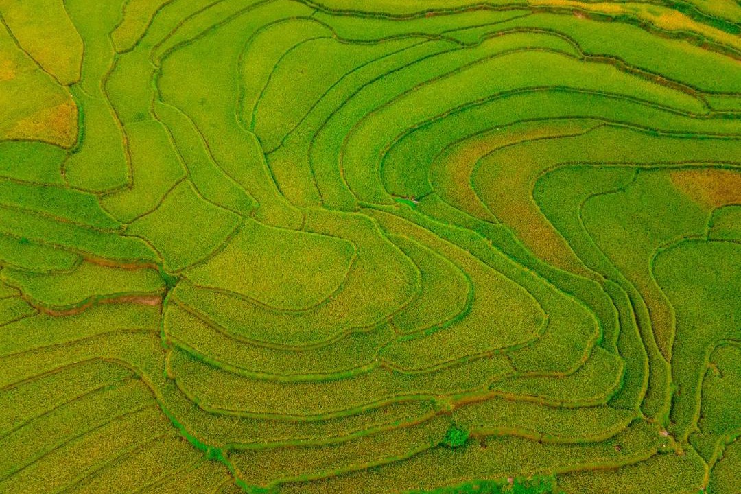 Photo of Others in Mu Cang Chai