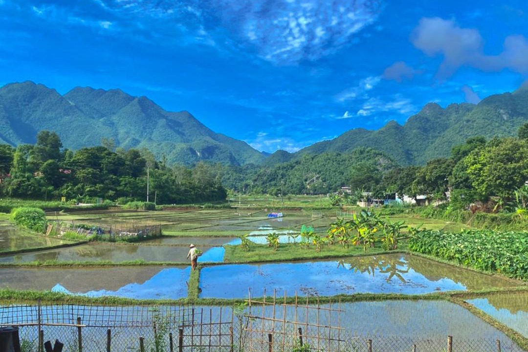 Photo of Others in Mai Chau