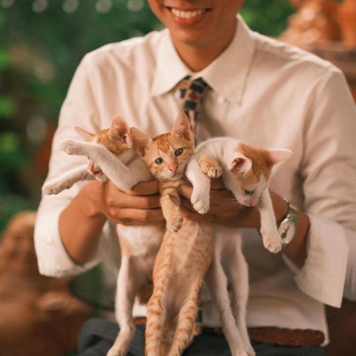 Photo of Others in Long Ho