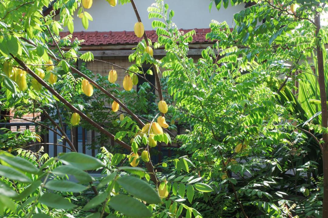 Photo of Others in Hoa Lu