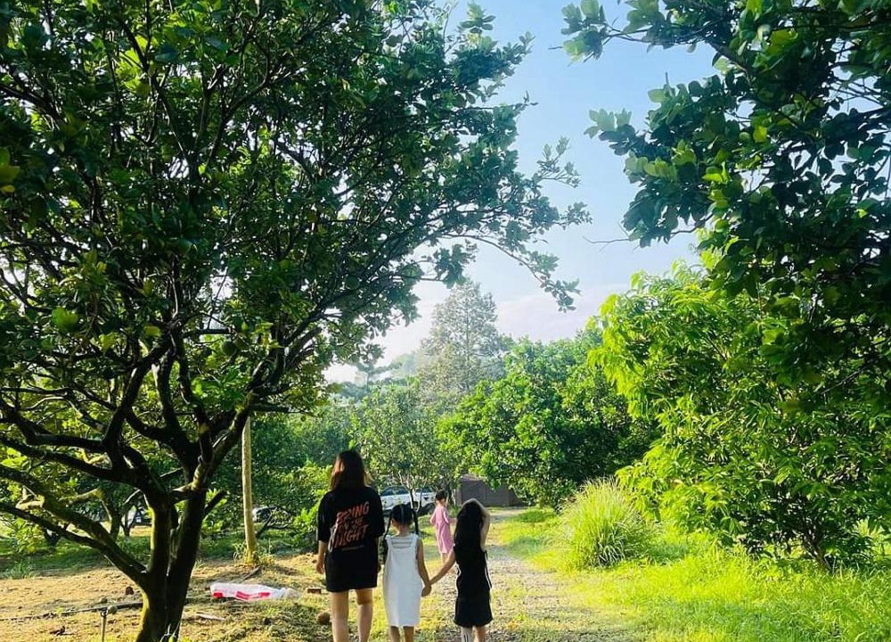 Photo of Others in Chau Duc