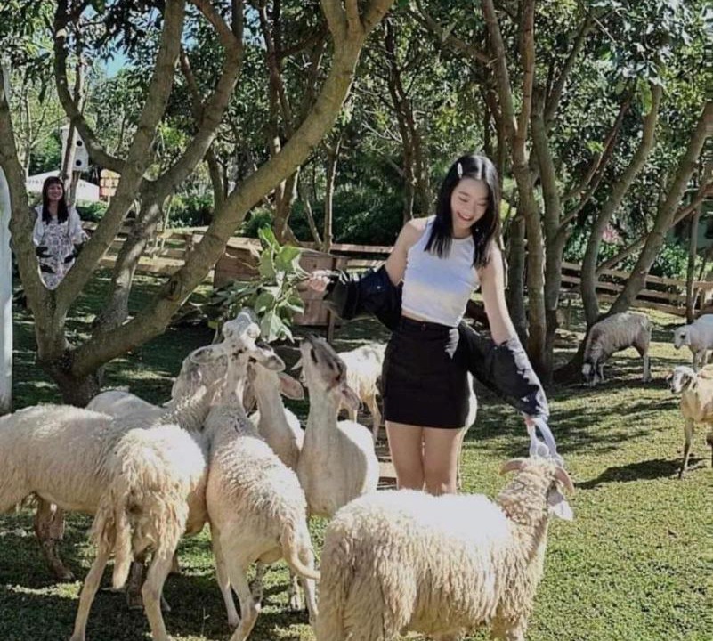 Photo of Others in Phuoc Tan
