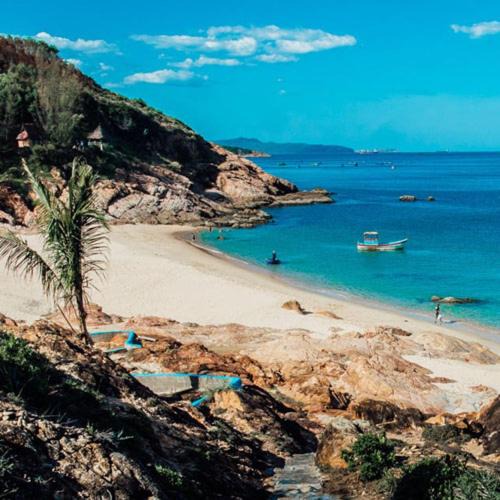 Photo of Others in Quy Nhon