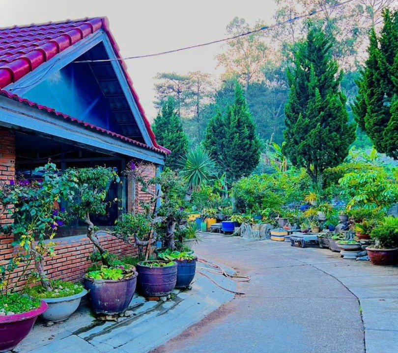 Photo of Others in Da Lat