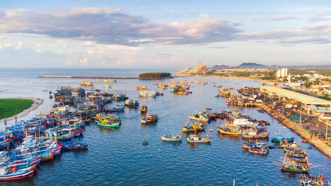 Photo of Others in Ap Binh Chau